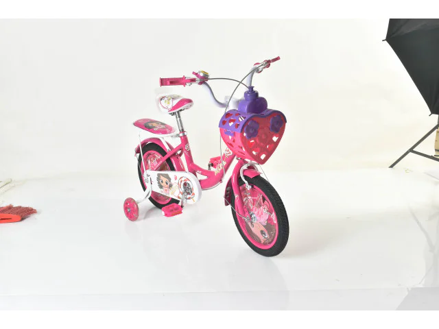 14' BICYCLE