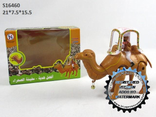 BO CAMEL (A-9)(C-14)(D-11)