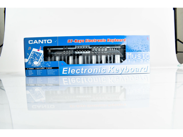 ELECTRONIC ORGAN (A-17)