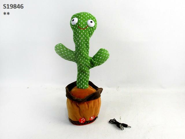 BO DANCING CACTUS (A-9)(F-11)(C-9)