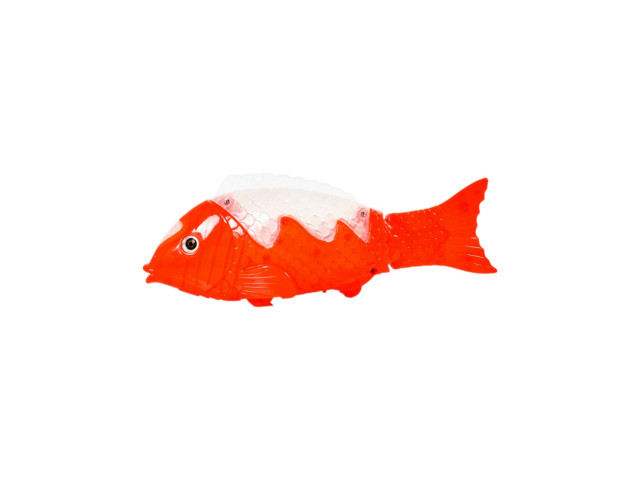 BO FISH BO FISH