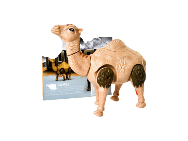 BO CAMEL