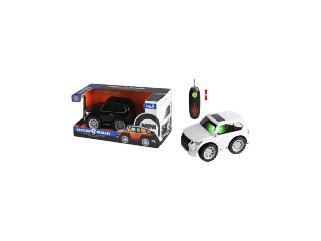 2CH RC CAR