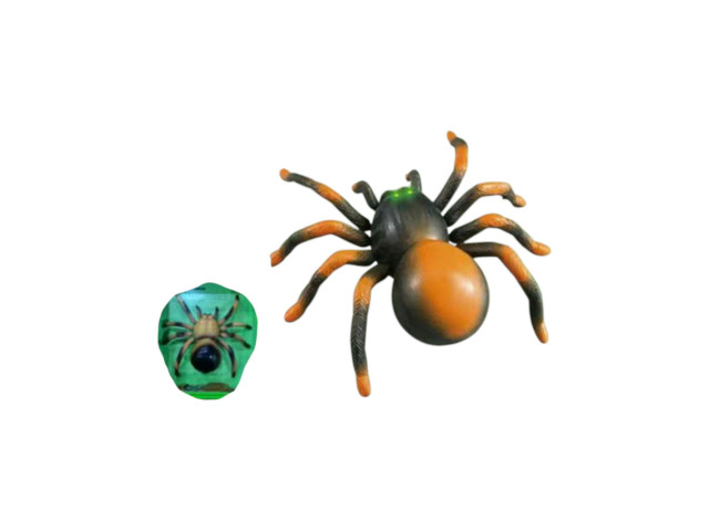 RC SPIDER
