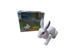 BO RABBIT(LABBAIK SOUND) BO RABBIT(LABBAIK SOUND)