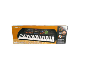 ELECTRONIC ORGAN ELECTRONIC ORGAN