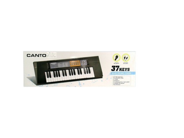 ELECTRONIC ORGAN