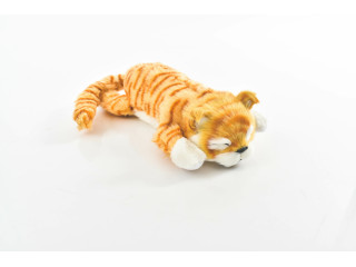 SLEEP CAT (P*44)