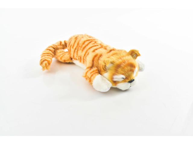 SLEEP CAT (P*44)