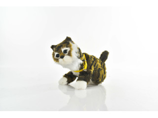 CAT (P66 CAT (P66