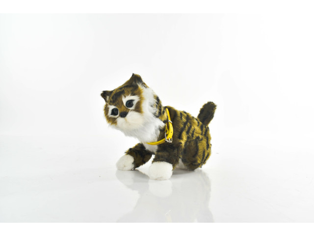 CAT (P66