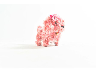 STUFFED ANIMAL (P-29)(P-40) STUFFED ANIMAL (P-29)(P-40)