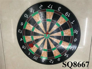 DART (P*92)(P*91) DART (P*92)(P*91)