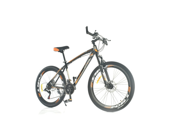 26' BICYCLE (J-123)