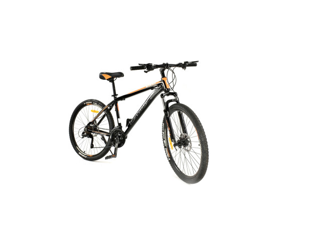 26' BICYCLE (J-117)