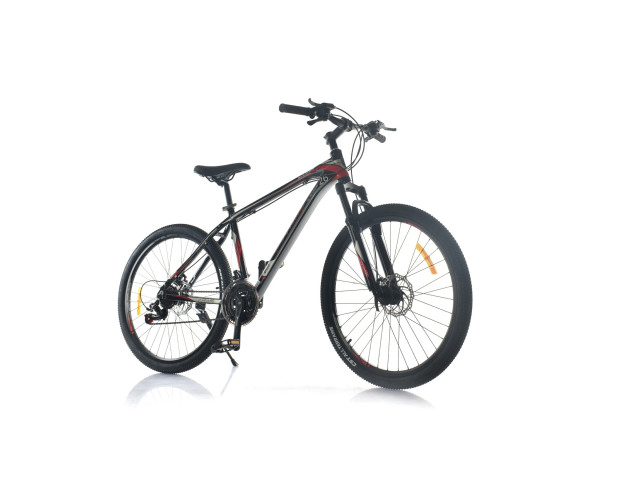 26' BICYCLE (J-75)(J-39)(H-51)