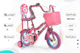 12' BICYCLE