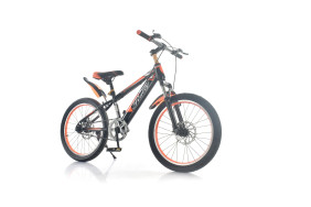 20' BICYCLE