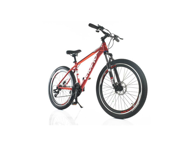26' BICYCLE