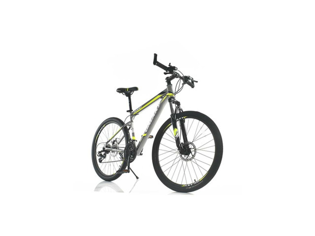 26' BICYCLE ((J-123)(J-119)