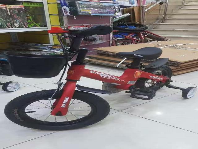 12' BICYCLE