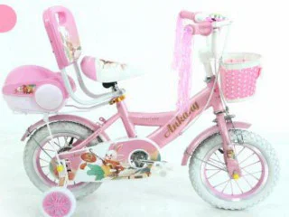 20'BICYCLE
