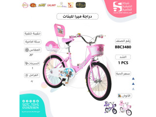 20'BICYCLE