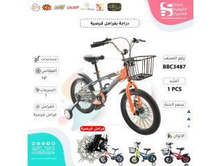 16' BICYCLE