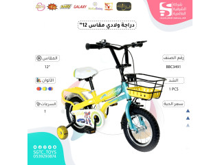 12' BICYCLE