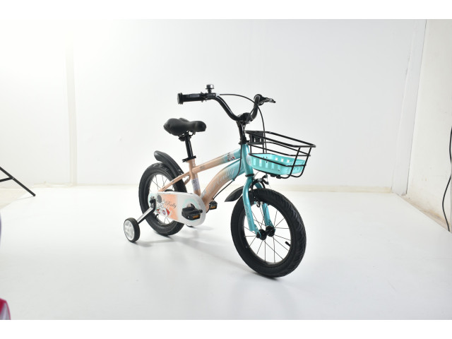 14' BICYCLE