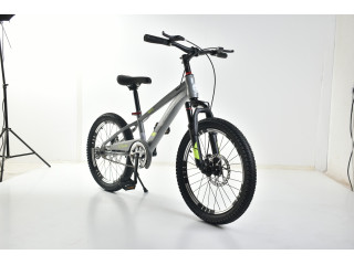 20' BICYCLE