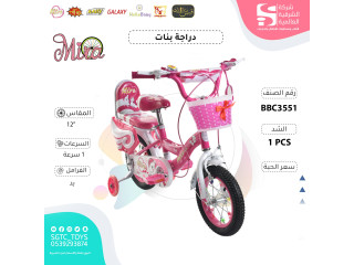 12' BICYCLE