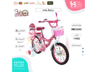 16' BICYCLE