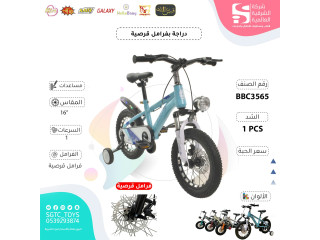 16' BICYCLE