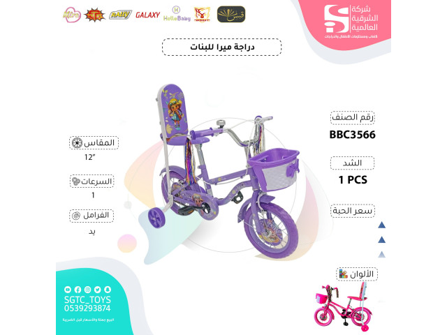 12' BICYCLE