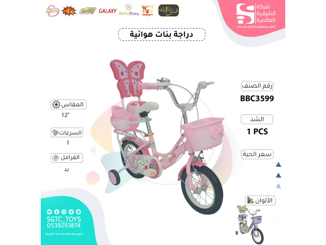 12' BICYCLE (J-88)