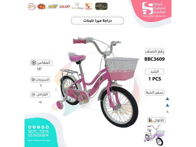 16' BICYCLE