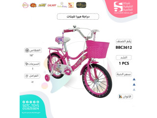 16' BICYCLE