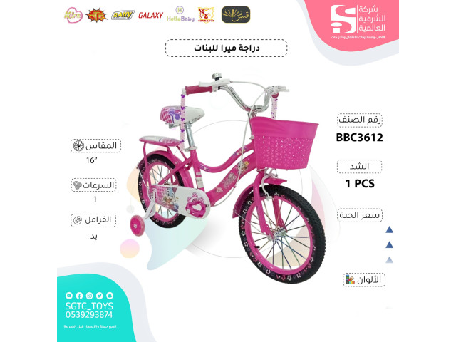 16' BICYCLE