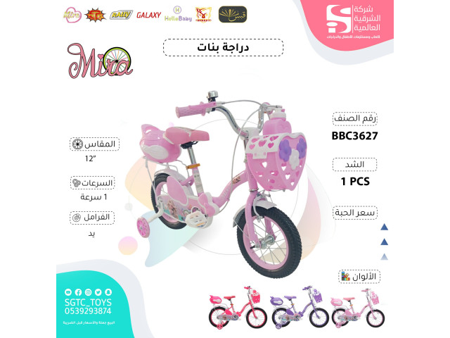 12' BICYCLE