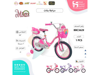 16' BICYCLE