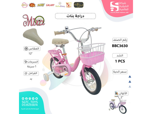 12' BICYCLE