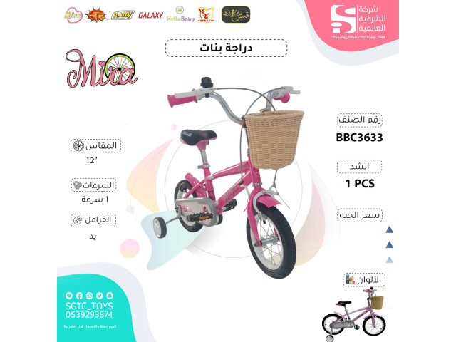 12' BICYCLE