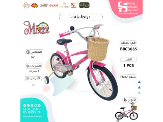 16' BICYCLE