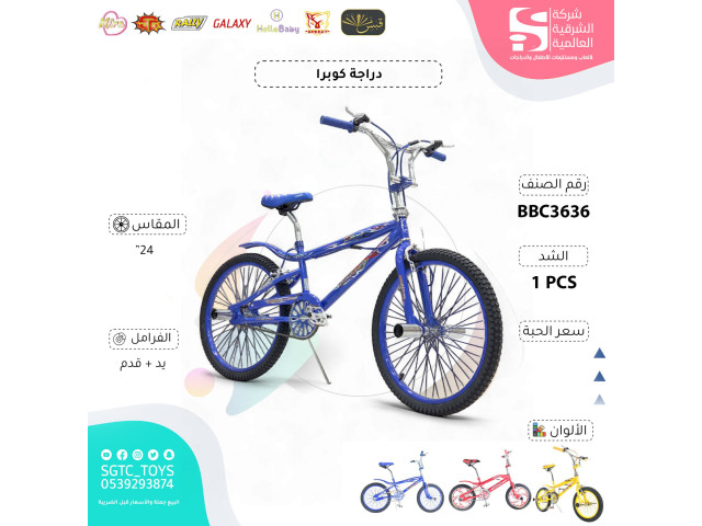 24' BICYCLE