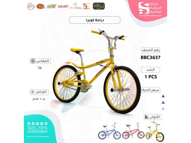 26' BICYCLE