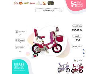 12‘BICYCLE