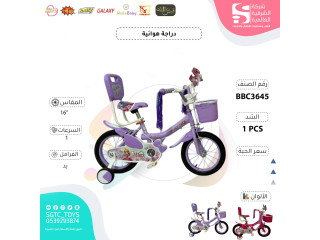 16‘BICYCLE 16‘BICYCLE