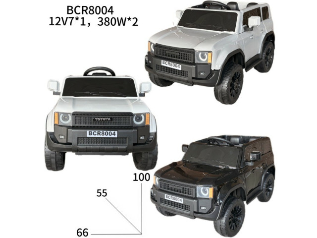 CHILDREN RC RIDE ON CAR (12V)