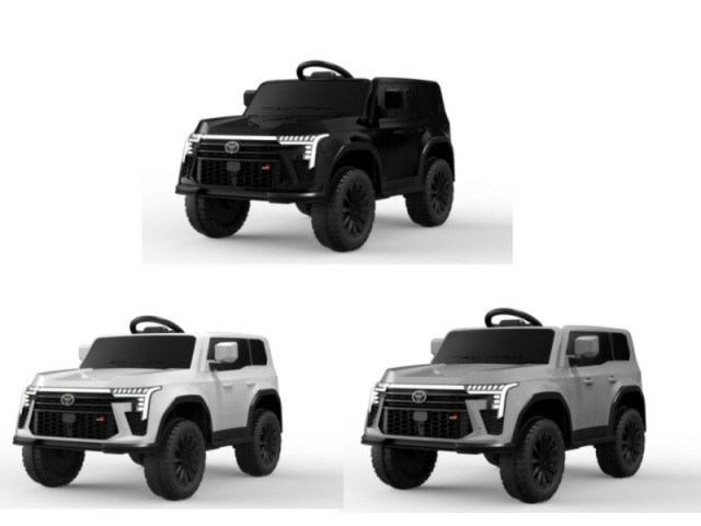 CHILDREN RC RIDE ON CAR (12V)